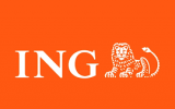 ingimgs